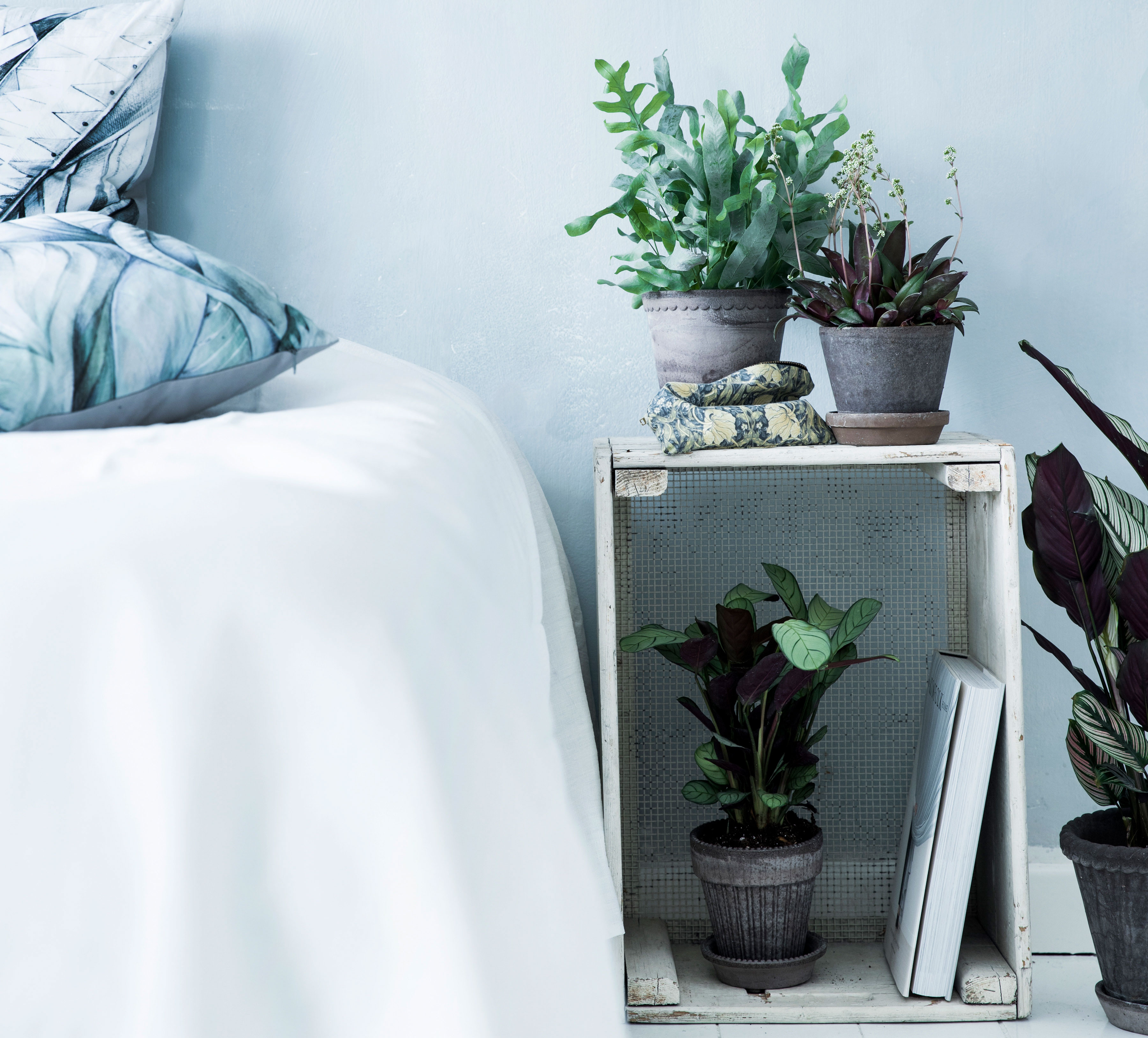 Det giver en fantastisk effekt, når du stiller flere grønne planter sammen, hvis nuancer varierer. Her er det ulvefodsbregne, krassula, påfugleblad og calathea, der giver liv i rummet.
