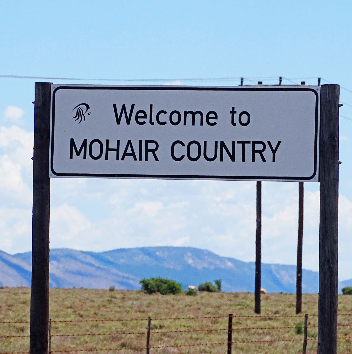 Karoo-regionen er stolte og ærekære omkring deres mohairproduktion. Naturen og klimaet her er yderst velegnet for mohairgederne.