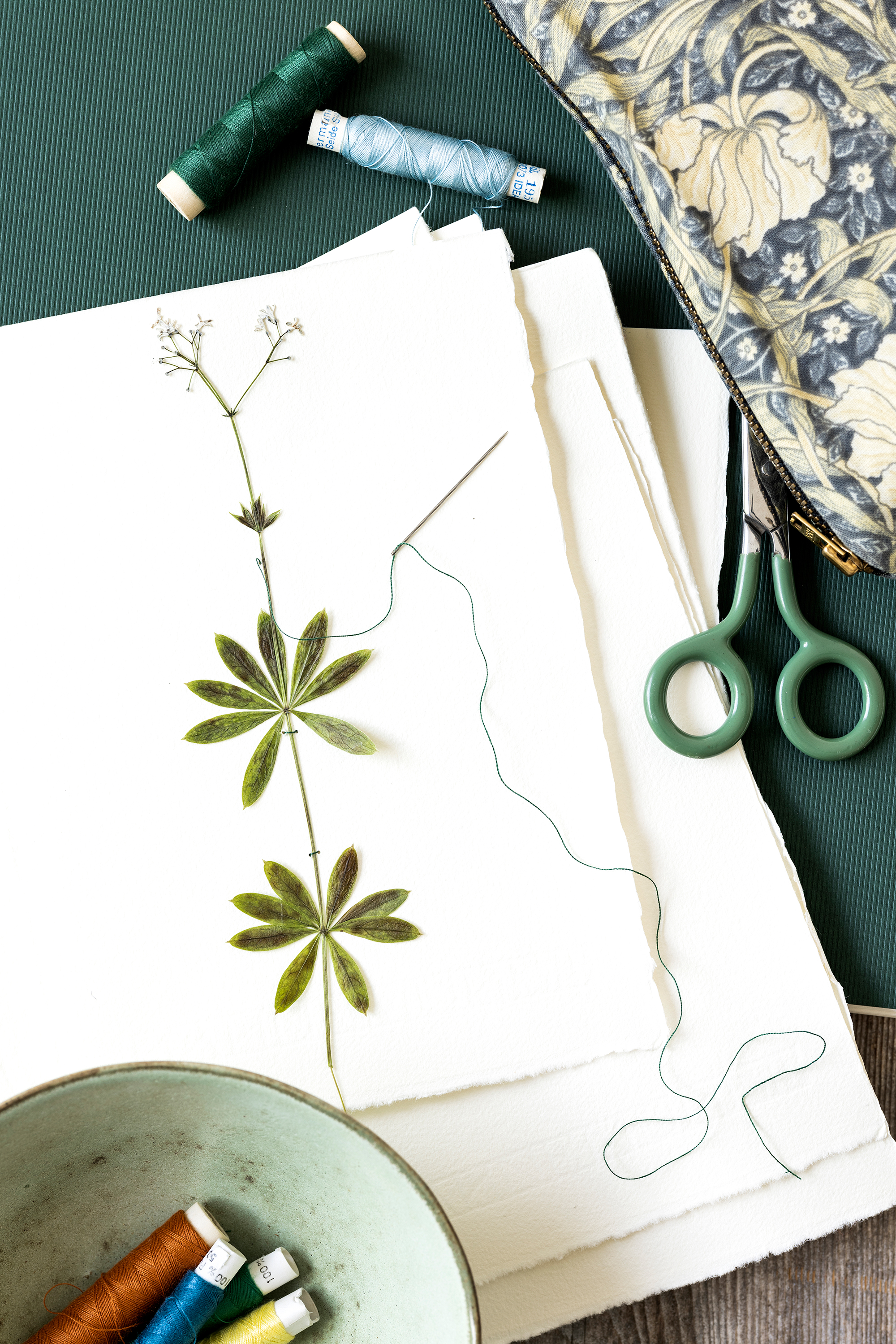 herbarium3.jpg