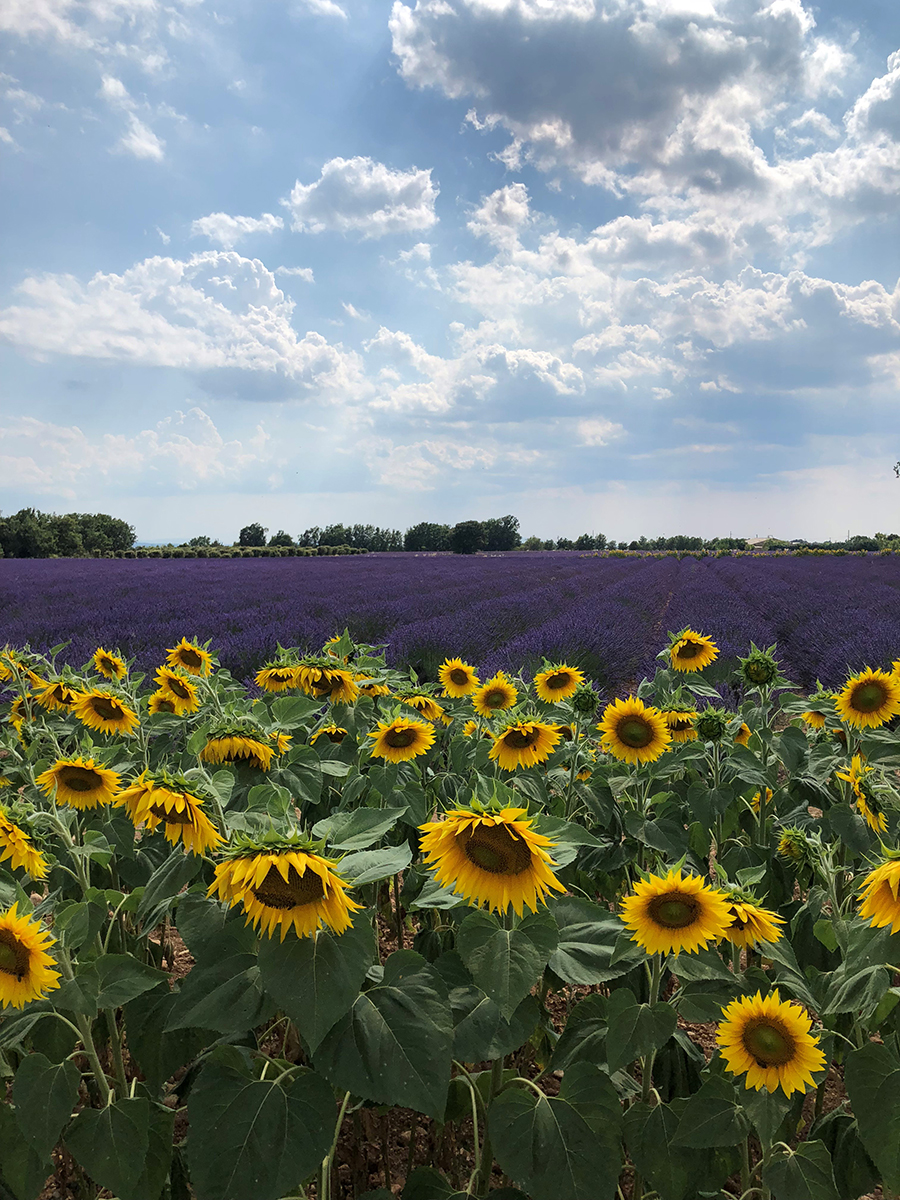 Provence