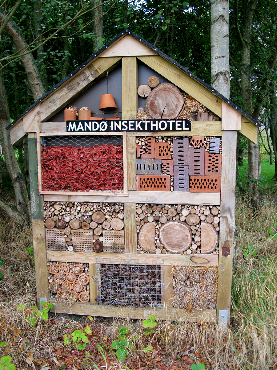 Mandø