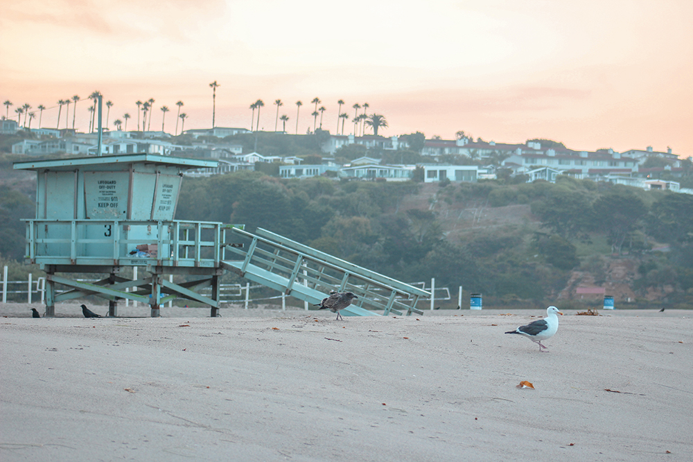 Malibu Beach