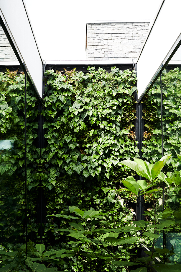 Christian Dams hus