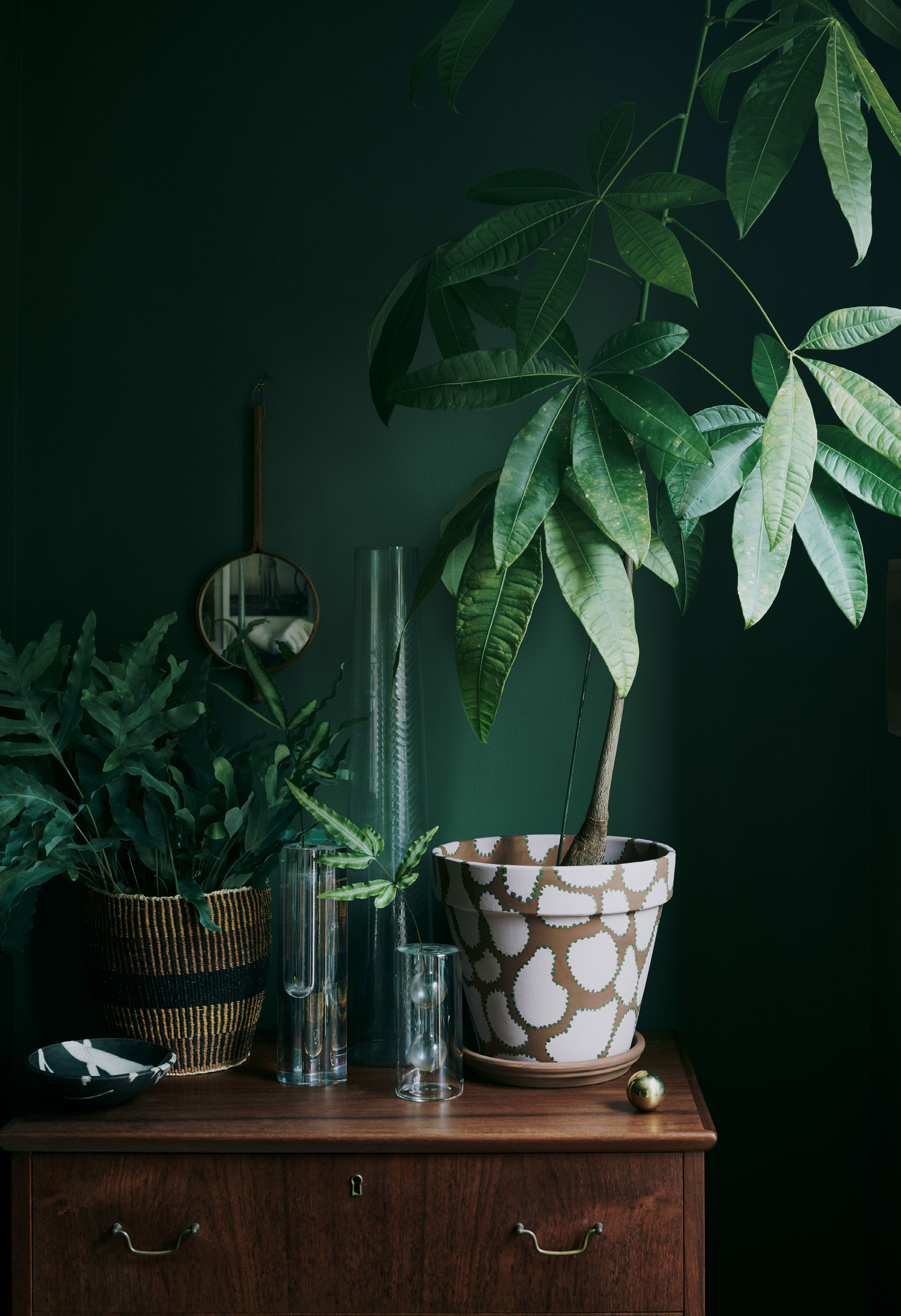 På stort set samtlinge flader i hjemmet står der enten grønne planter eller nogle af Lauras mange vintagefund.