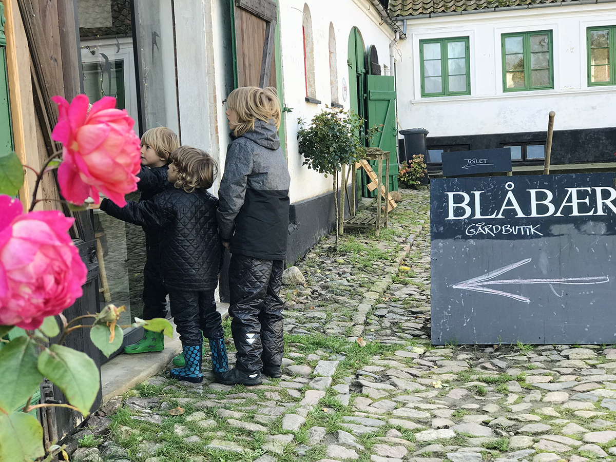 Guide til Ærø