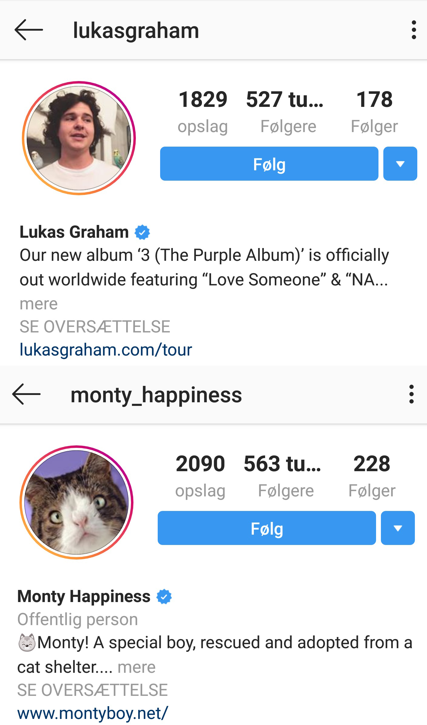 Monty-versus-Lukas-Graham-på-Instagram.jpg