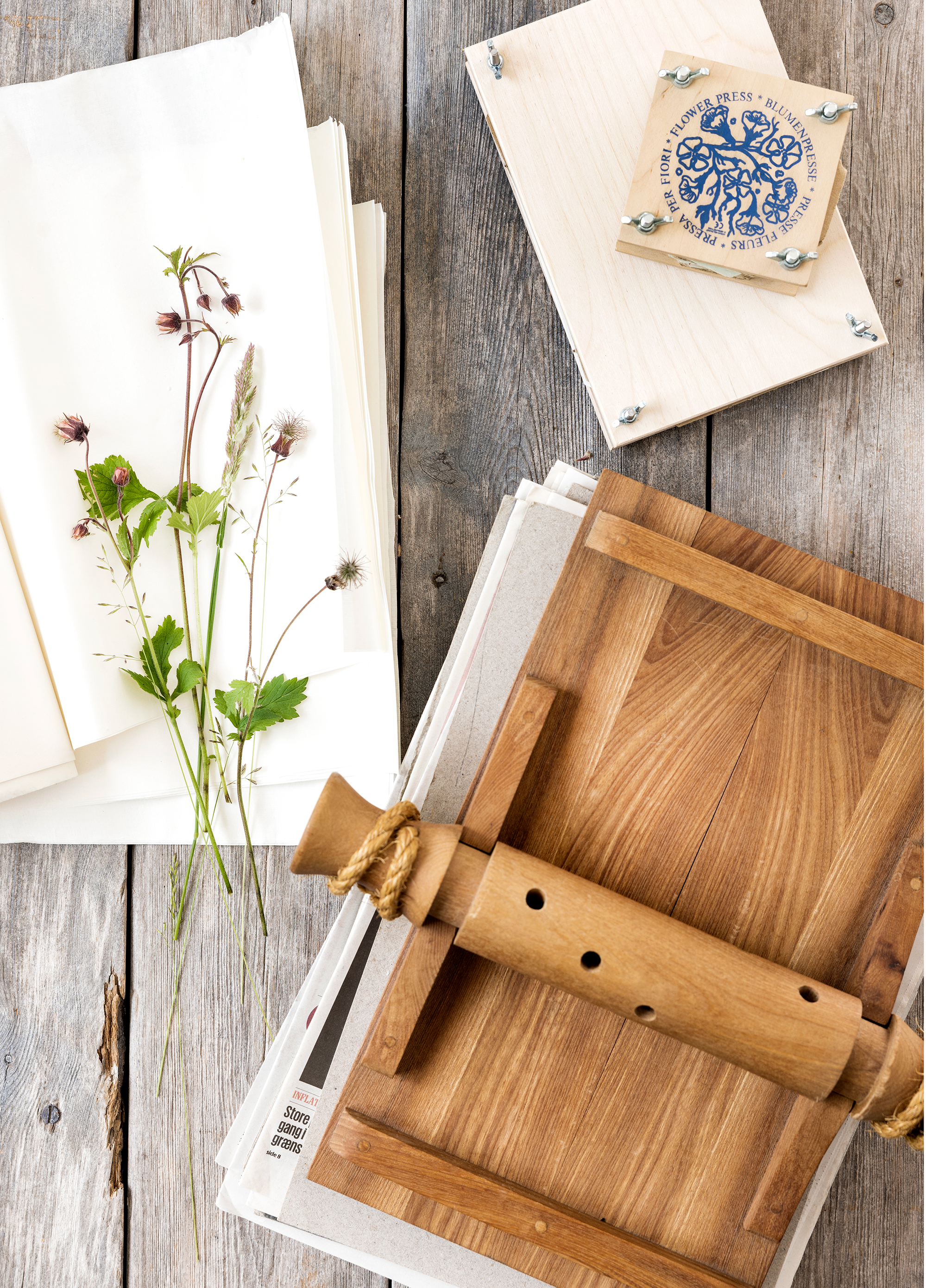 herbarium2.jpg