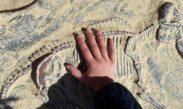 fossil - ferie med børn