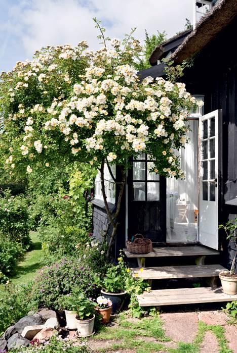 Fra verandaen er der udgang til den sydvendte have med den storslåede udsigt. Den hvide rosenbusk hedder Lykkefund.