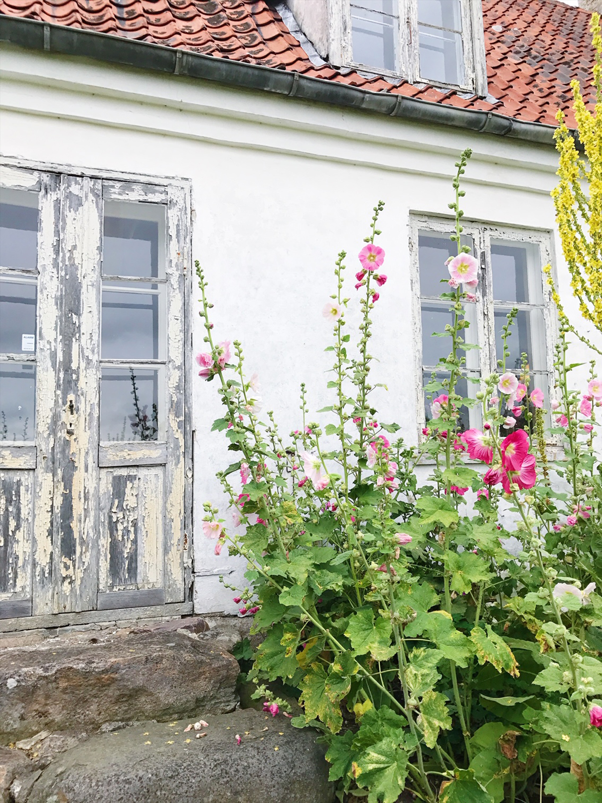 malergården2.jpg
