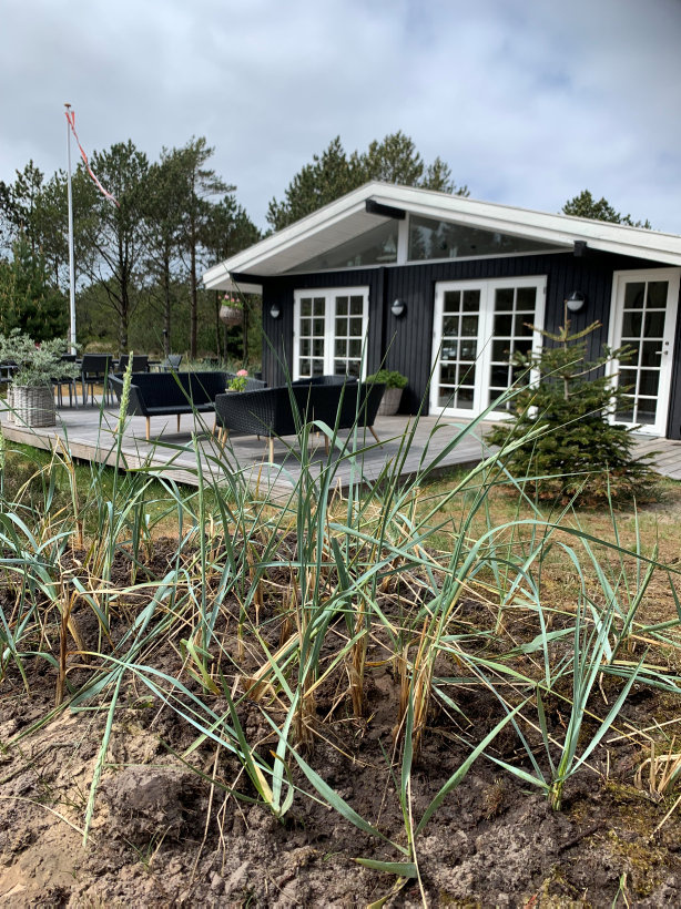 Huset.jpg