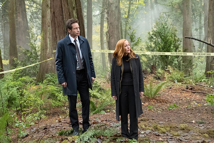 The X-files