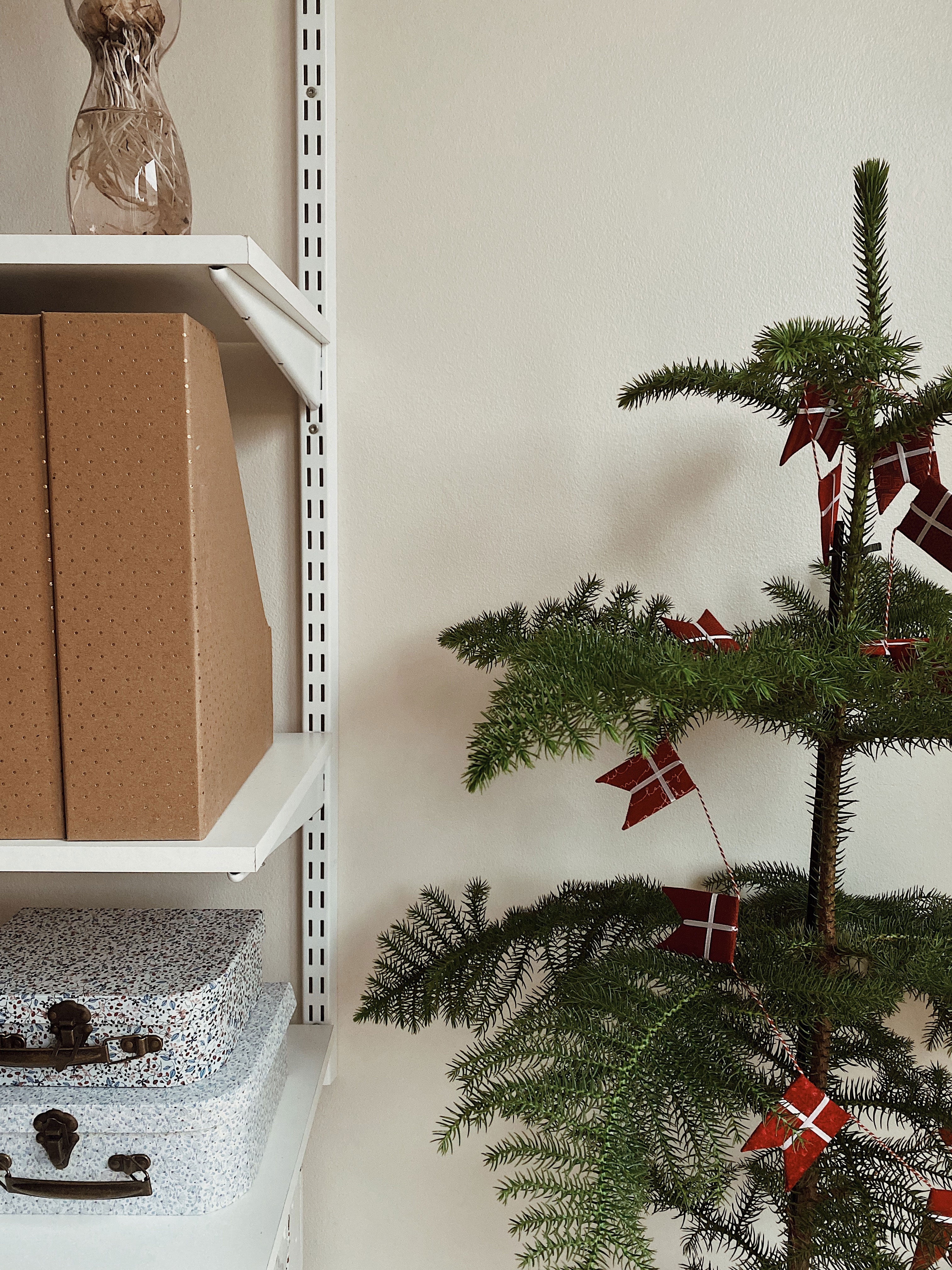 Den lille stuegran får lov til at stå i huset hele året.