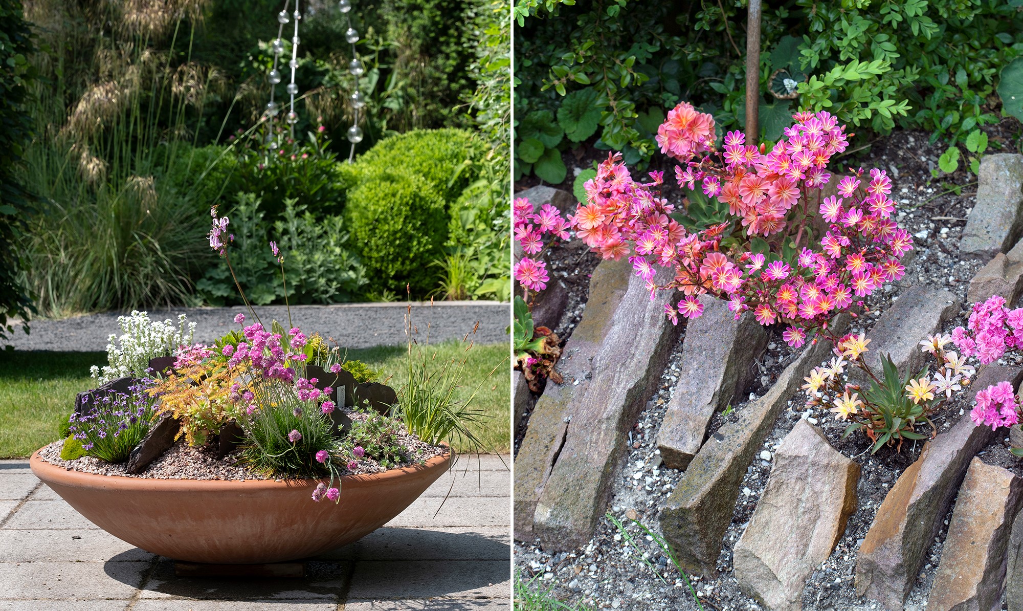 blomster.jpg